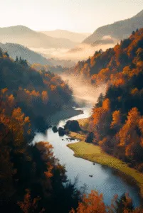 Aerial view of a narrow river snaking through a steep valley filled with a soft layer of fog and trees displaying rich orange and yellow autumn colors.
