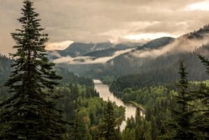 aesthetic wallpaper15