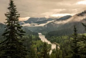 aesthetic wallpaper15