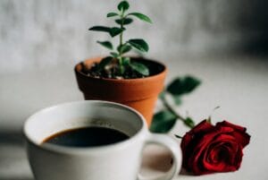 aesthetic wallpaper18