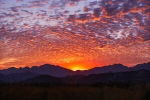 aesthetic wallpaper22