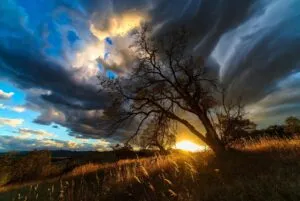 aesthetic wallpaper25