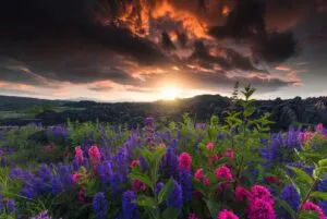 aesthetic wallpaper45