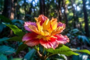 aesthetic wallpaper47