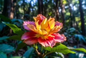 aesthetic wallpaper47