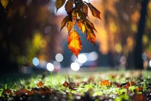 aesthetic wallpaper49