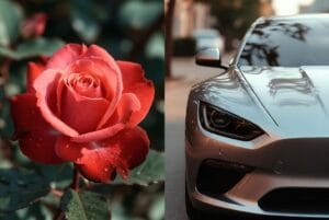 aesthetic wallpaper920